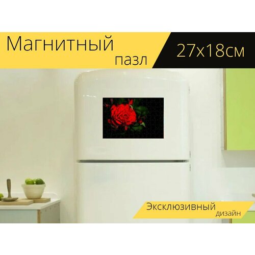 Магнитный пазл Красная роза, роза, цветок на холодильник 27 x 18 см. магнитный пазл цветок роза духи на холодильник 27 x 18 см