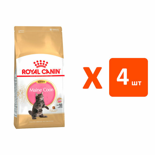 ROYAL CANIN MAINE COON KITTEN 36 для котят мэйн кун (4 кг х 4 шт) royal canin dry food maine coon kitten 4 41 oz 2 kg