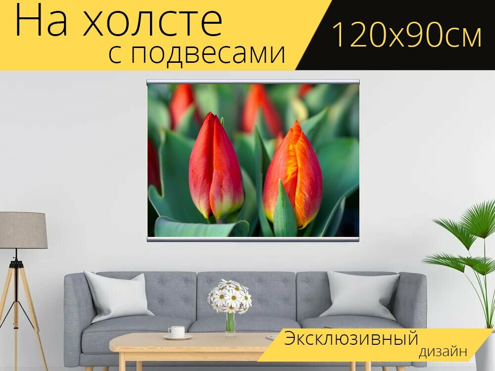Картина на холсте "Тюльпаны, красный, цветок" с подвесами 120х90 см. для интерьера
