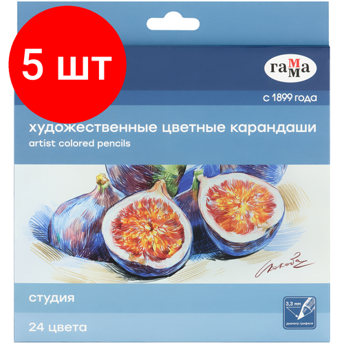 Комплект 5 шт, Карандаши цветные художественные Гамма Студия, 24цв, заточен, картон. упаковка