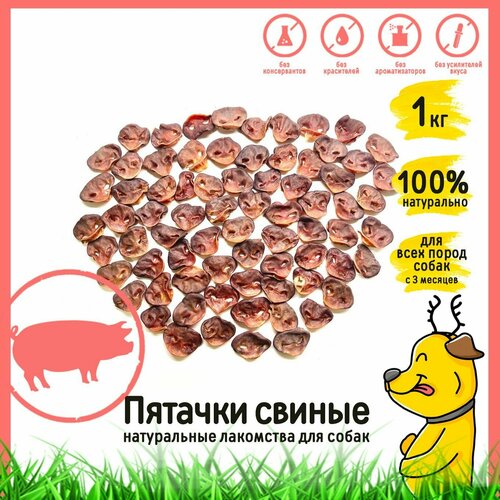 Лакомство для собак Пятачки свиные 1кг HorDog lucky animals свиные пятачки 1 уп