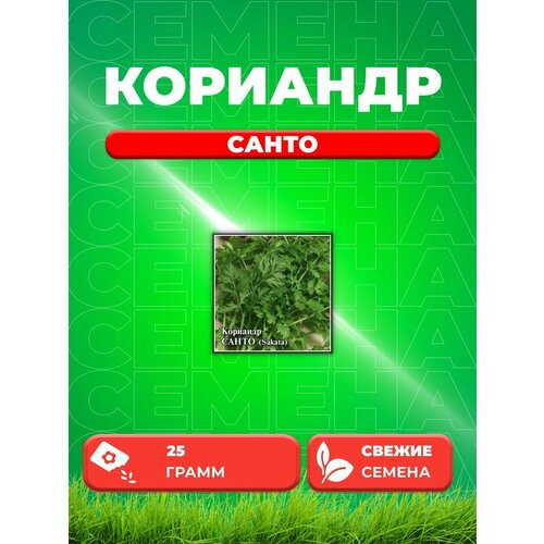 Кориандр Санто 25,0 г (Саката)