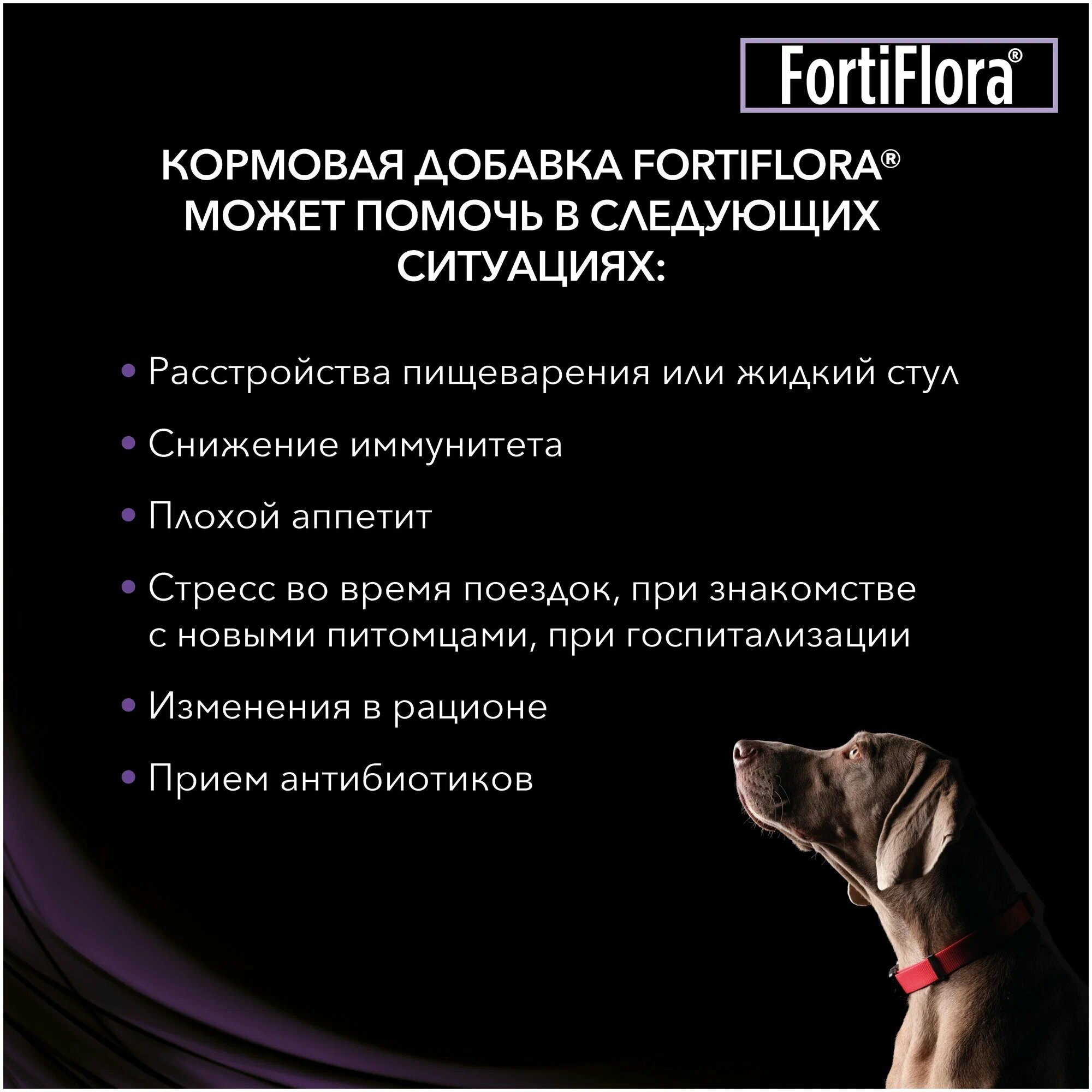 Добавка в корм Pro Plan Veterinary Diets Forti Flora для собак и щенков , 5 шт. в уп. — фото 1