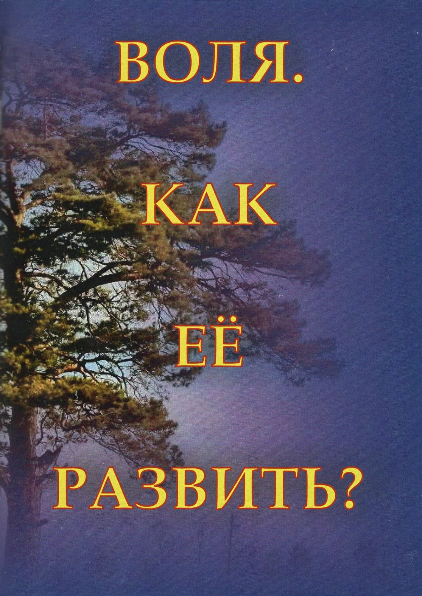 Воля  Как ее развить 