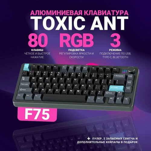 Клавиатура механическая 75 алюминиевая Toxic Ant Furycube F75 черный 19999₽