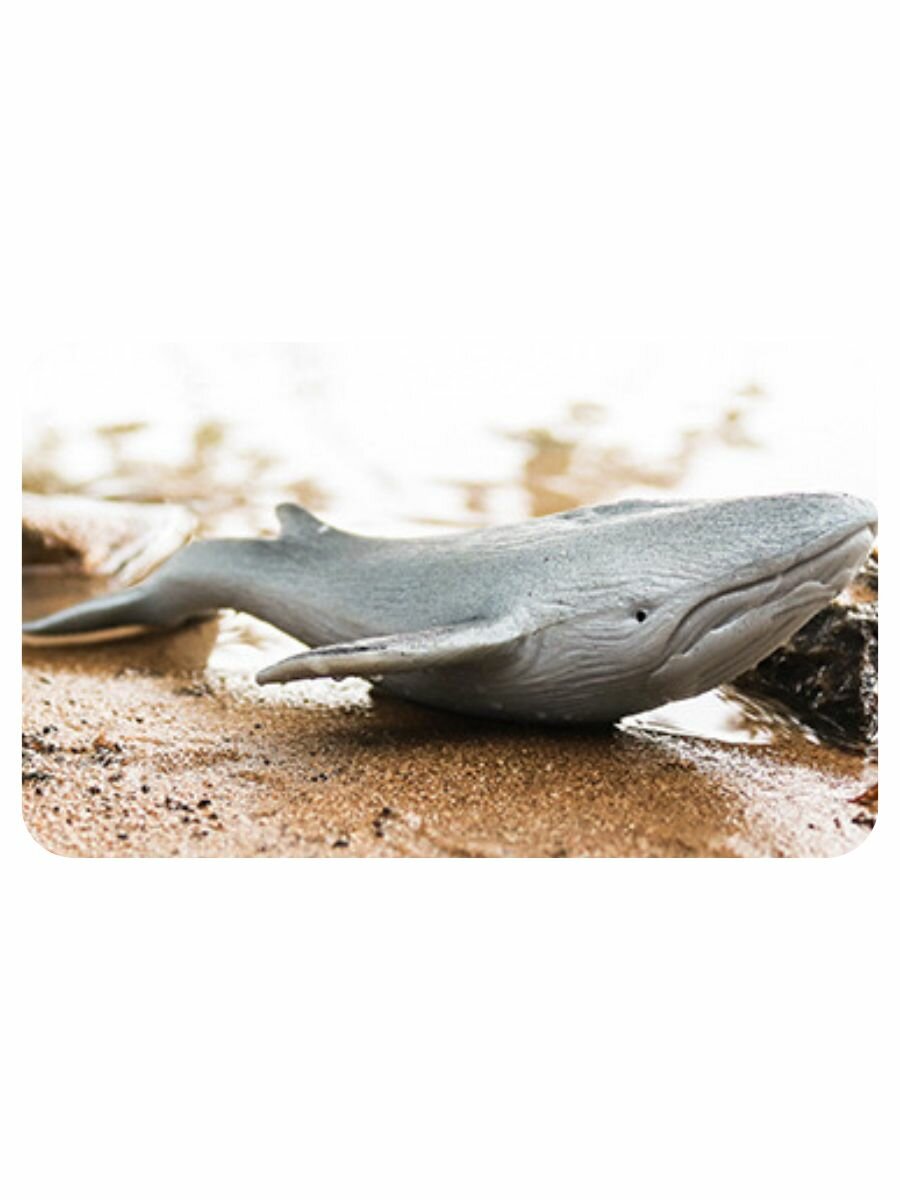 Синий кит тянучка игрушка / Тянучка антистресс — фото 1