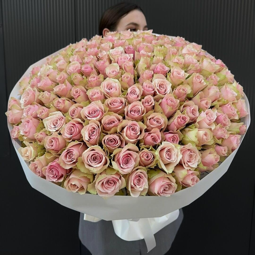 151 роза (роза 151 шт) высота букета 40 см ширина букета 45 см