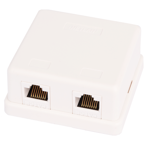 Розетка настенная NETLAN EC-UWO-2-UD2-WT-10 2 порта, Кат.5e (Класс D), 100МГц, RJ45/8P8C, 110, T568A/B, неэкранированная, белая, уп-ка 10шт