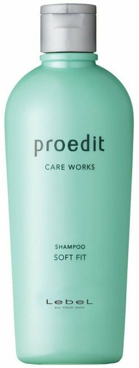 Lebel Proedit Care Works Soft Fit Shampoo - Шампунь для жестких и непослушных волос 300 мл