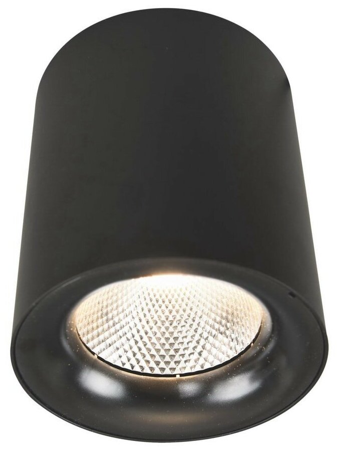 Накладной светильник Arte Lamp 5118 A5118PL-1BK