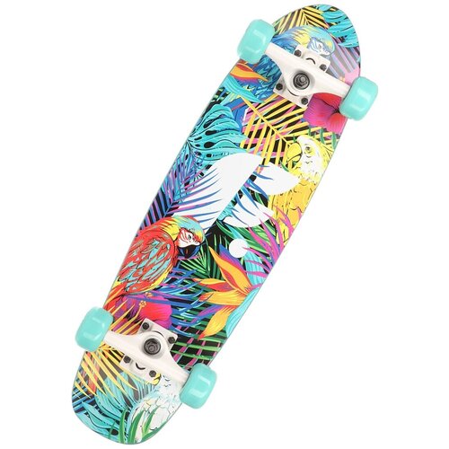 Круизер Footwork Cruiser Tropical Complete 27.25, 27.25x7.75, разноцветный