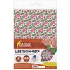 Цветной фетр для творчества, А4, 210х297 мм, ОСТРОВ СОКРОВИЩ, с рисунком, 5 листов, 5 цветов, толщина 2 мм, - изображение