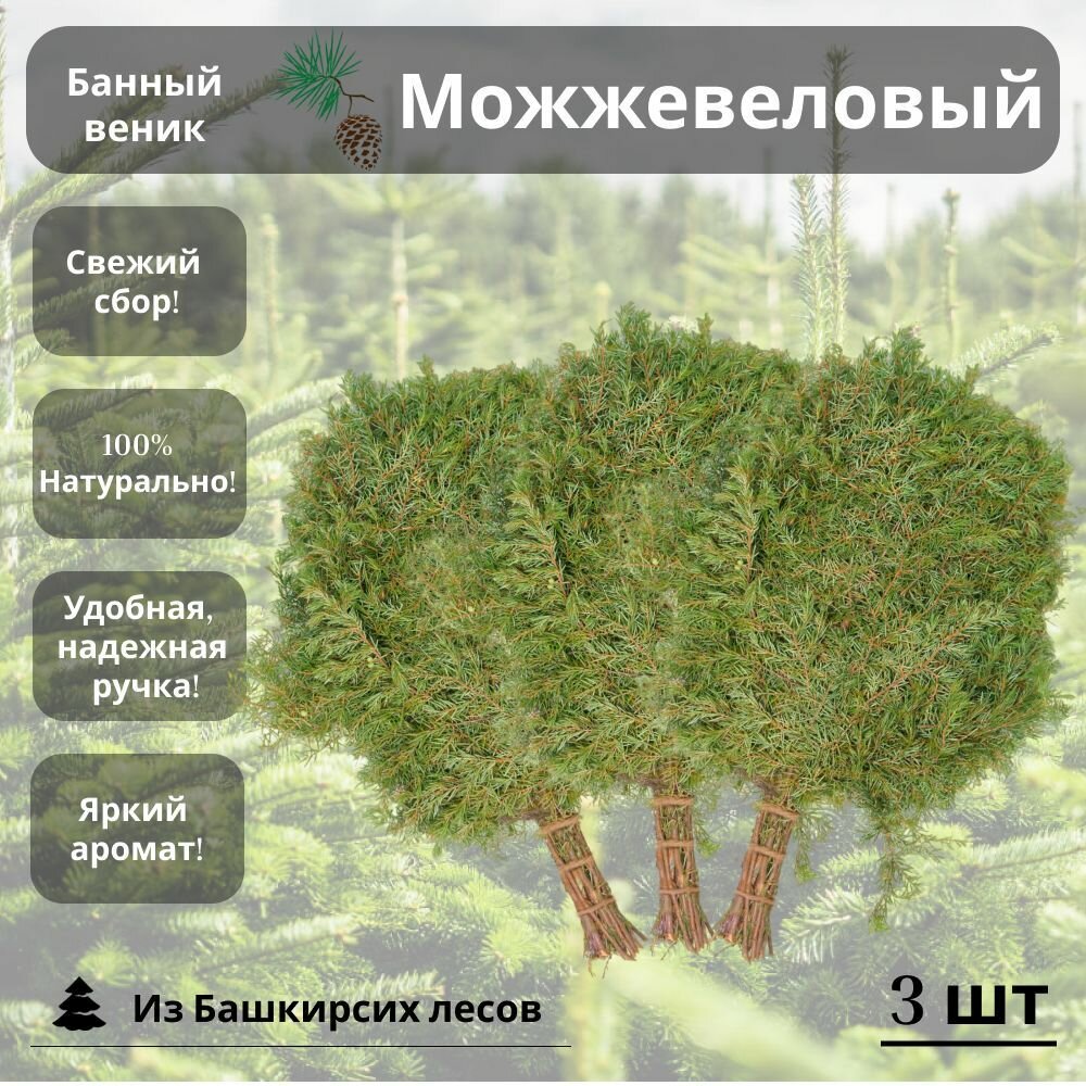 Веник для бани можжевеловый 3 штуки