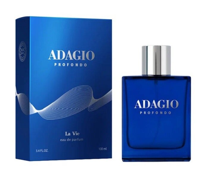 DILIS "Adagio Profondo" парфюмерная вода мужская 100 мл
