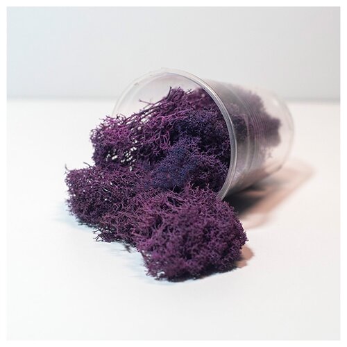 Ягель стабилизированный сиреневый, ResinArt