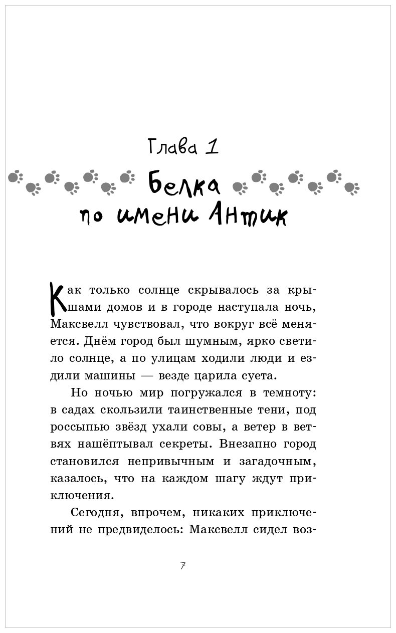 Детектив для бельчонка (Щенок Максвелл и хвостатая команда) - фото №3
