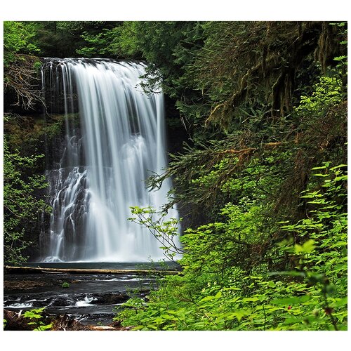 ФотообоиC коллекция ФотообоиC коллекцияВодопад в зелени 300х270 см 6800₽