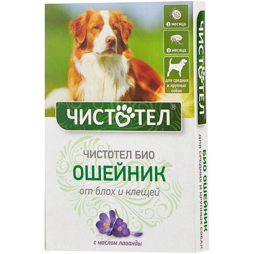 ЧИСТОТЕЛ ошейник от блох и клещей Био для собак и щенков, 65 см, зеленый 1 уп.