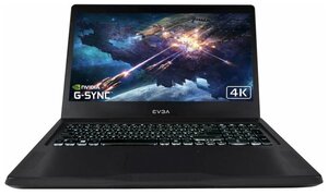 Стоит ли покупать Ноутбук EVGA SC17 (3840x2160, Intel Core i7 2.9 ГГц ...