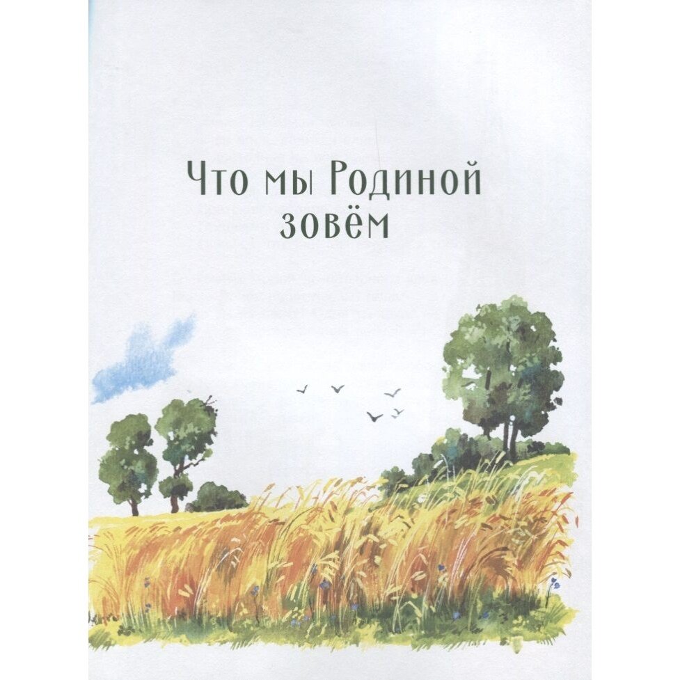 Стихи и рассказы о Родине (Морковкина Татьяна Андреевна (иллюстратор), Остров Светозар Александрович (иллюстратор), Терентьева Н. (составитель), Пархаев Олег Константинович (иллюстратор), Панченко Григорий (составитель)) - фото №16