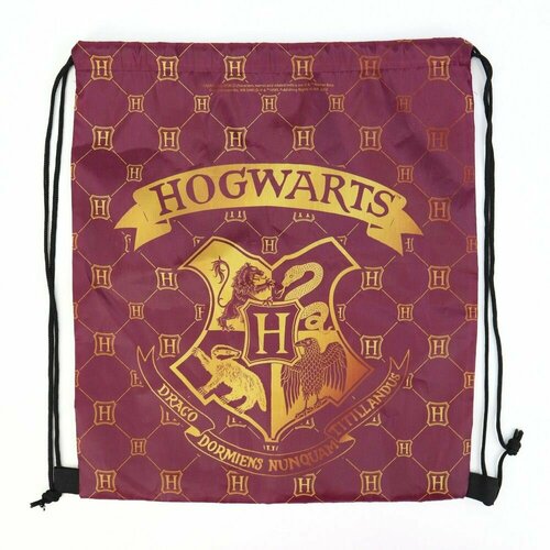 Сумка детская ND Play Сумка для хранения обуви сменки Рюкзак для формы Гарри Поттер 35 х 41 см ND PLAY 419₽