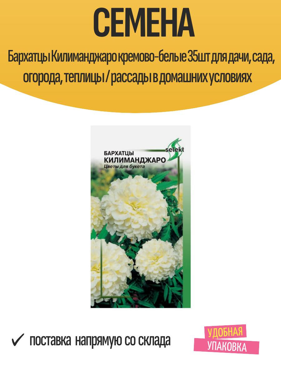 Семена Бархатцы Килиманджаро кремово-белые 35шт для дачи, сада, огорода, теплицы / рассады в домашних условиях