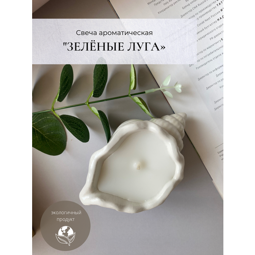 Свеча ароматическая в ракушке Krupka candles 