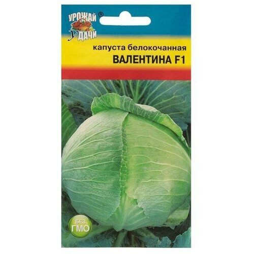 Семена Капуста б/к Валентина ,0,1 гр 10 упаковок семена 10 упаковок капуста б к подарок 0 5г ср седек