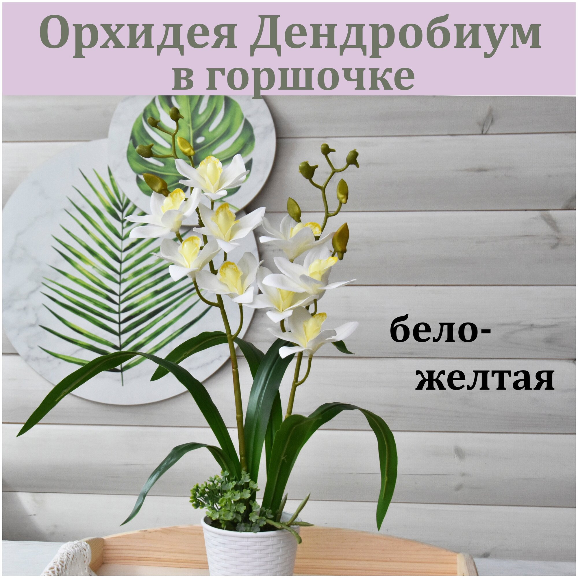 Орхидея Дендробиум бело-желтая в горшочке (2 ветки) / Реалистичный ...