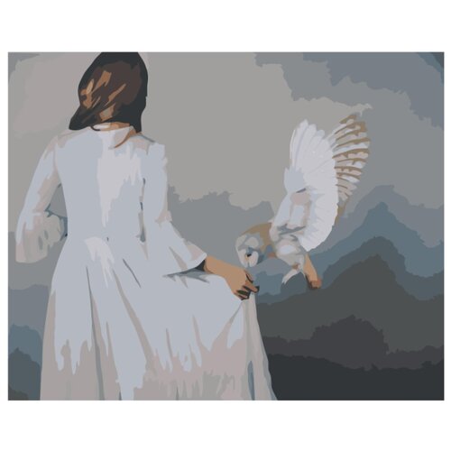 Сова и девушка Раскраска картина по номерам на холсте сова защитница раскраска картина по номерам на холсте