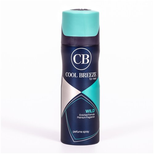 дезодорант спрей breeze дезодорант парфюмированный серии blue Cool Breeze Дезодорант мужской спрей парфюмированный WILD, 200мл