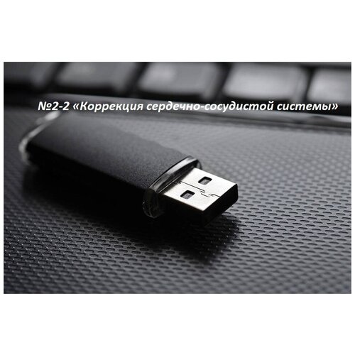 Матрица Гаряева программа №2-2