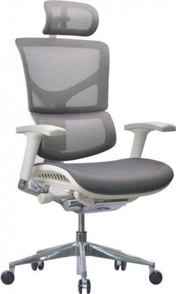 Эргономичное кресло Falto Expert Sail, цвет серый