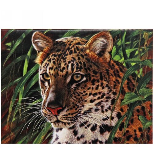 Алмазная мозаика 40*50см «Леопард» с полным заполнением, напечатанной рамкой, на деревянном подрамнике J50261