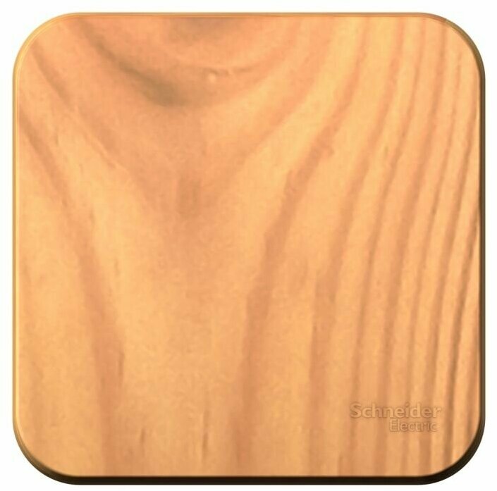 фото Выключатель 1-кл. ОП Blanca 10А IP20 (сх. 1) с самовозвратом с изолир. пластиной ясень SchE SCHNEIDER ELECTRIC BLNCA101015 (1 шт.)