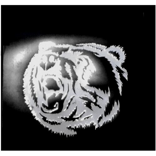 Брызговики 40*60, медведь