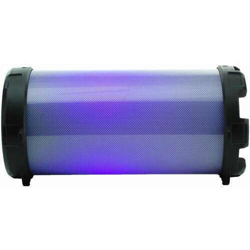 Портативная акустика ECON EPS-100 560000₽