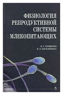 Физиология репродуктивной системы млекопитающих - фото №1