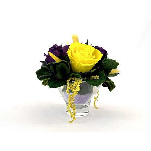 желтый, фиолетовый