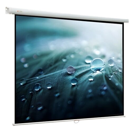 Матовый белый экран ViewScreen Lotus WLO-16905, 120", белый