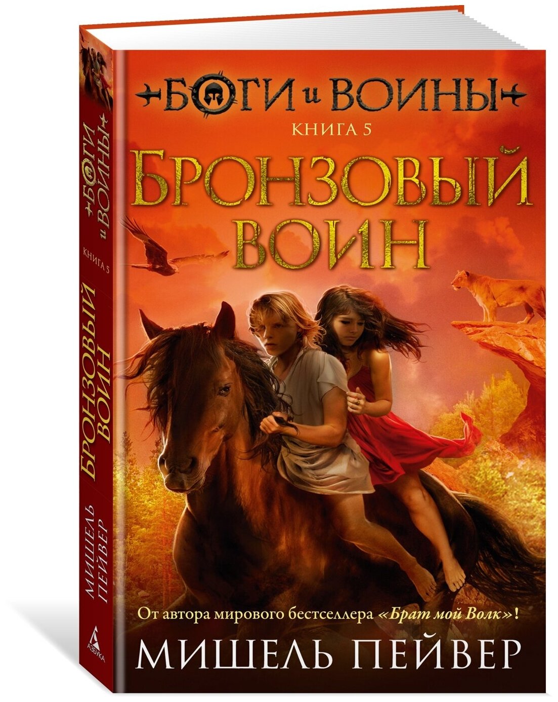 Боги и воины. Книга 5. Бронзовый воин