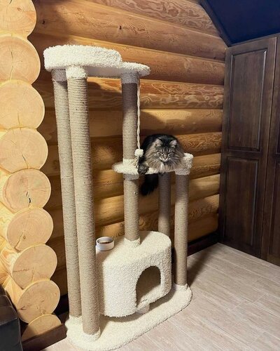 Изображение товара Игровой комплекс с домиком и лежанками из ковролина , для кошки , высота 170 см , цвет коричневый и белый