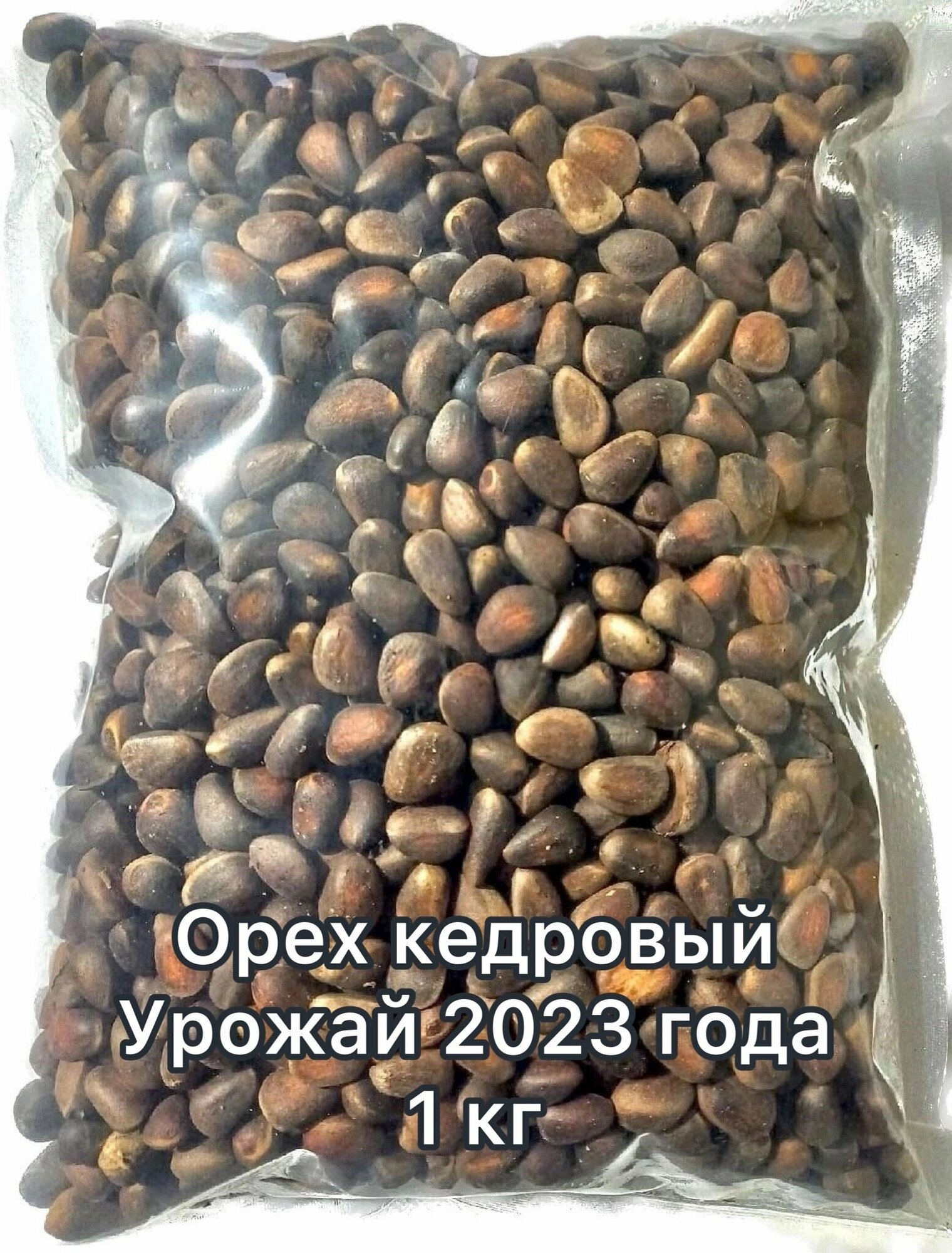 Орех кедровый в скорлупе 1 кг. Урожай 2023 года.