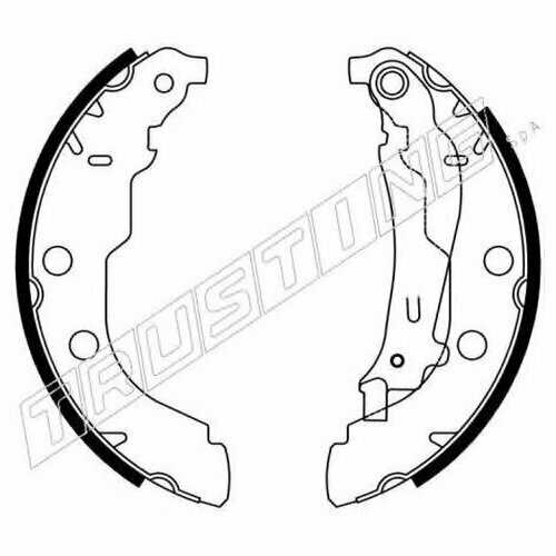 Бараб Тормоз Колодок TRUSTING 079189