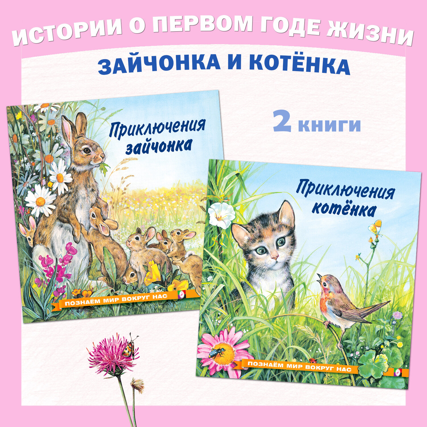 Сказки для детей Издательство Фламинго Познаем мир вокруг нас Комплект из 2 книг Приключения зайчонка и котёнка