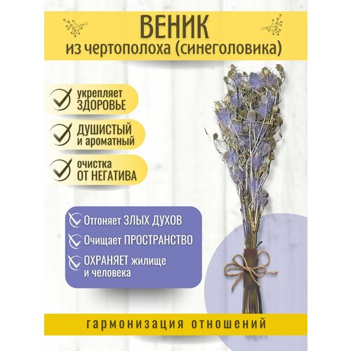 Скрутка /Веник из чертополоха (синеголовника) синеголовник гигантский