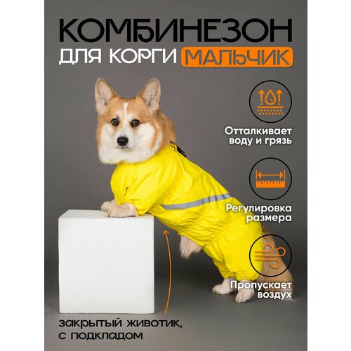 Водоотталкивающий комбинезон DiploDog для Корги (Пол: мальчик), Одежда для Корги (Пол: мальчик)