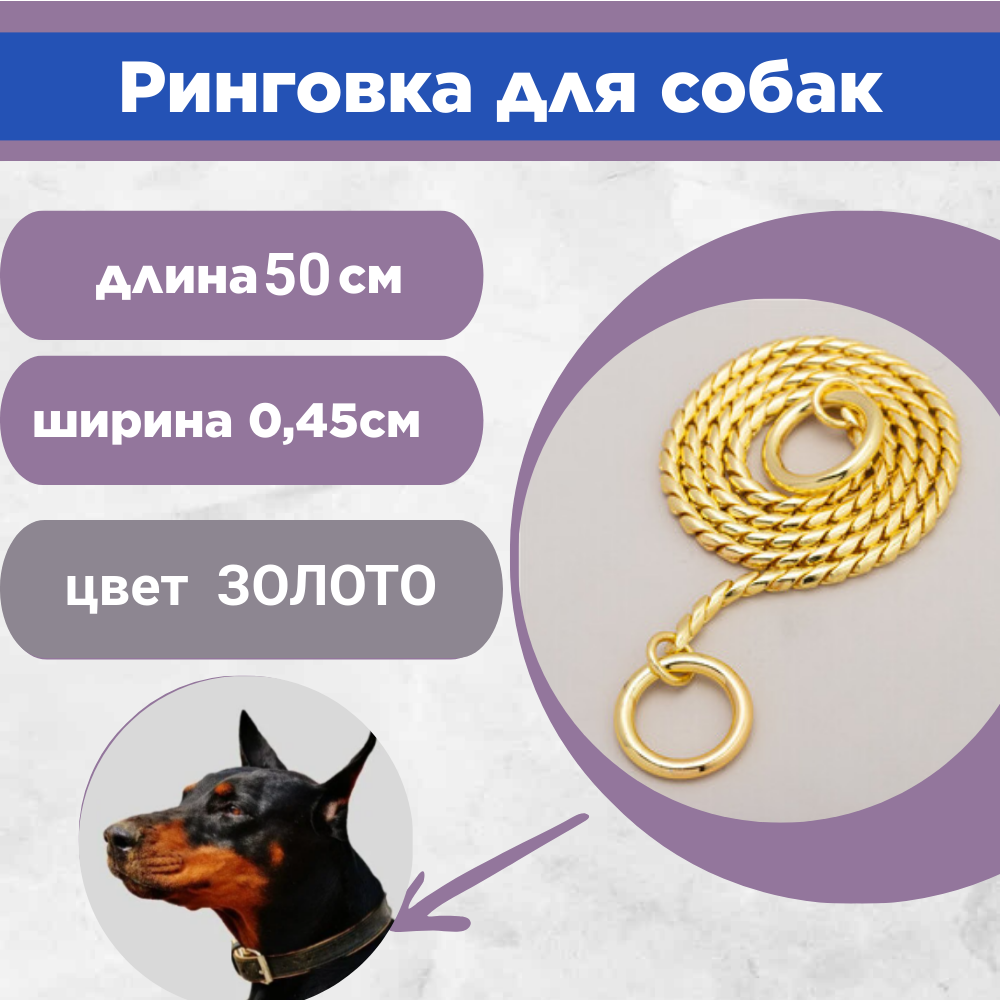 Ринговка для собак 50 х 0,45 см, цепочка-кобра рывковая, ошейник, цвет золотистый