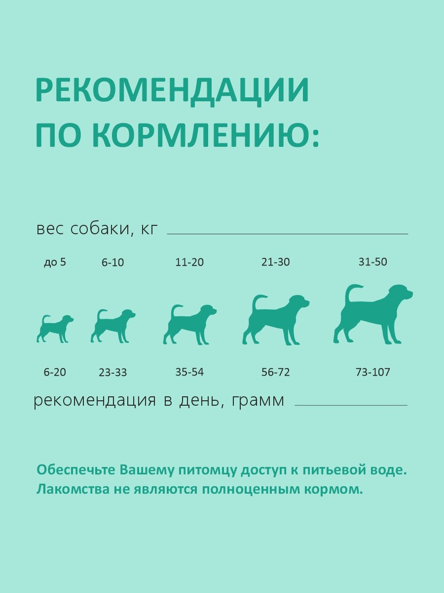 TiTBiT Biff Dental Care cнек жевательный для собак крупных пород (Говядина, 270 г.) - фото №8