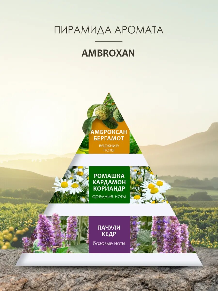 Картинки AROMOTION Парфюмированный крем для тела и рук с ароматом "Ambroxan", увлажняющий, 300 мл
